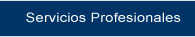 Servicios Profesionales